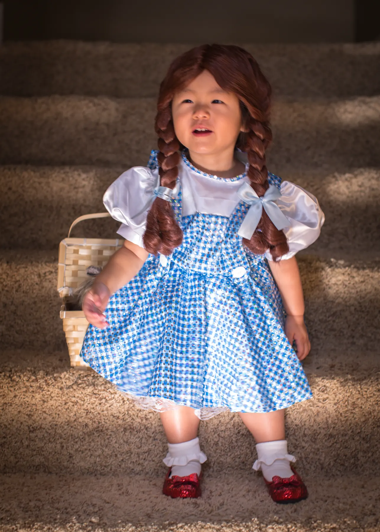 Say Hi to Dorothy ! photograph