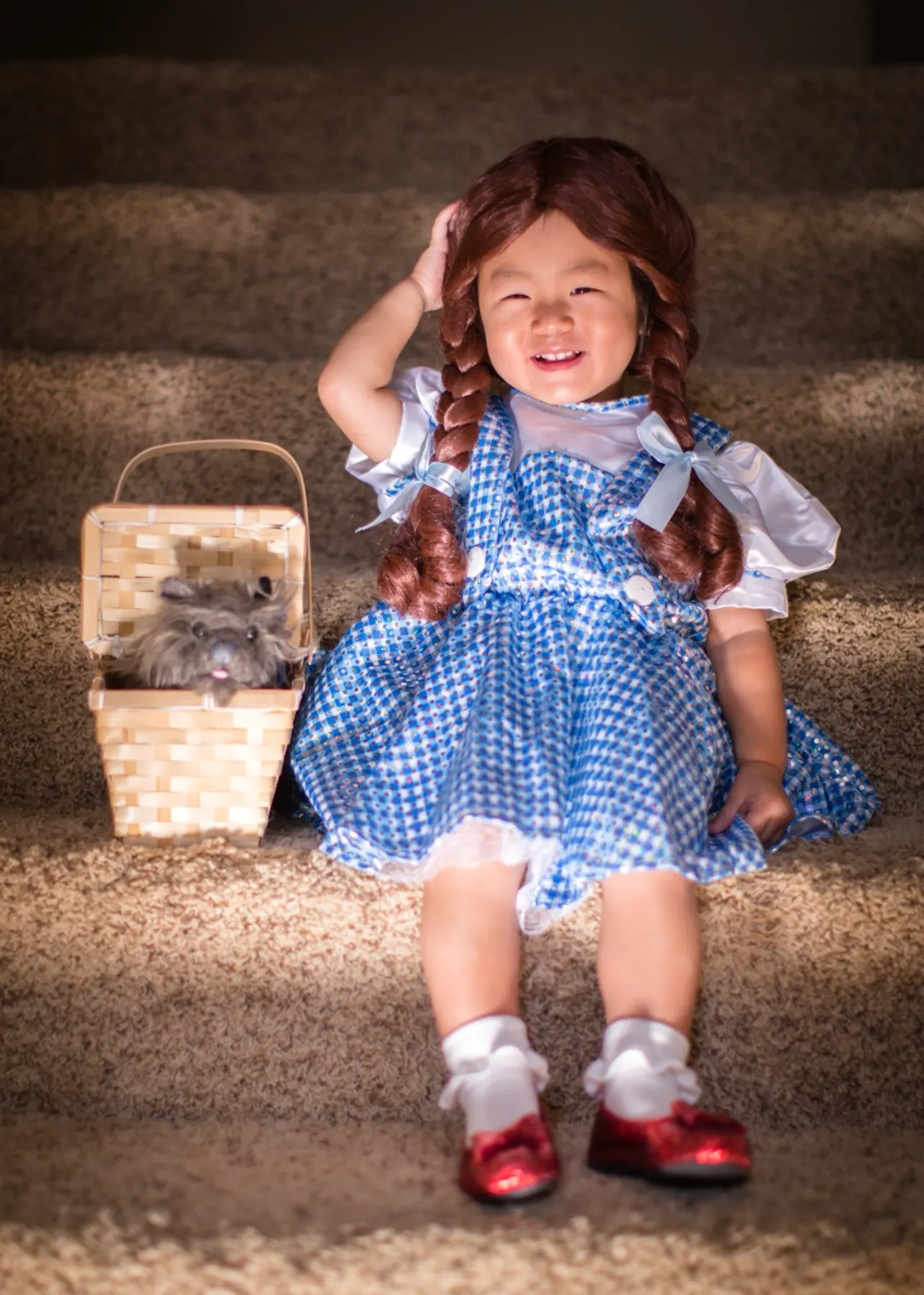 Say Hi to Dorothy ! photograph