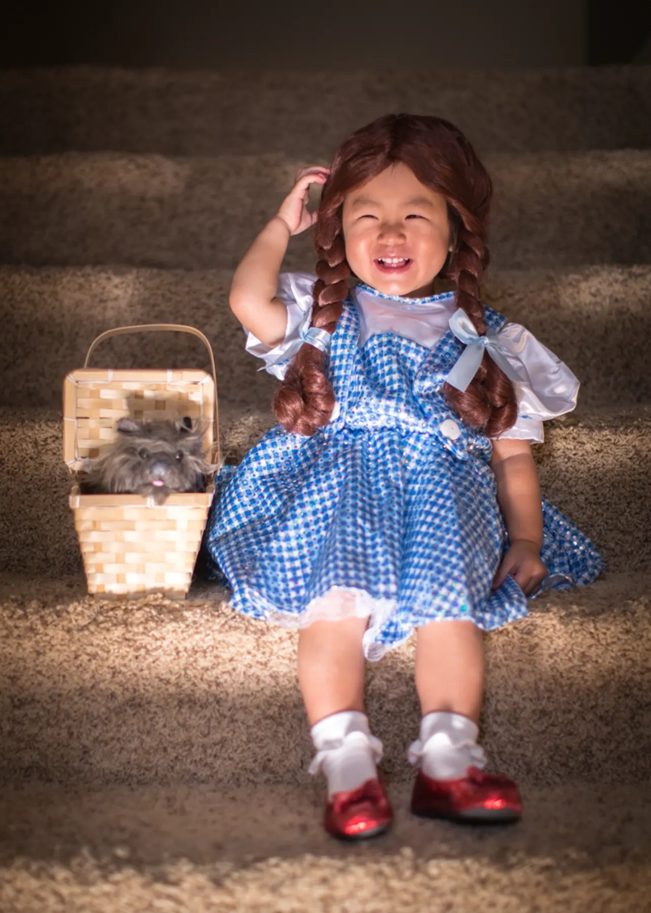 Say Hi to Dorothy ! photograph