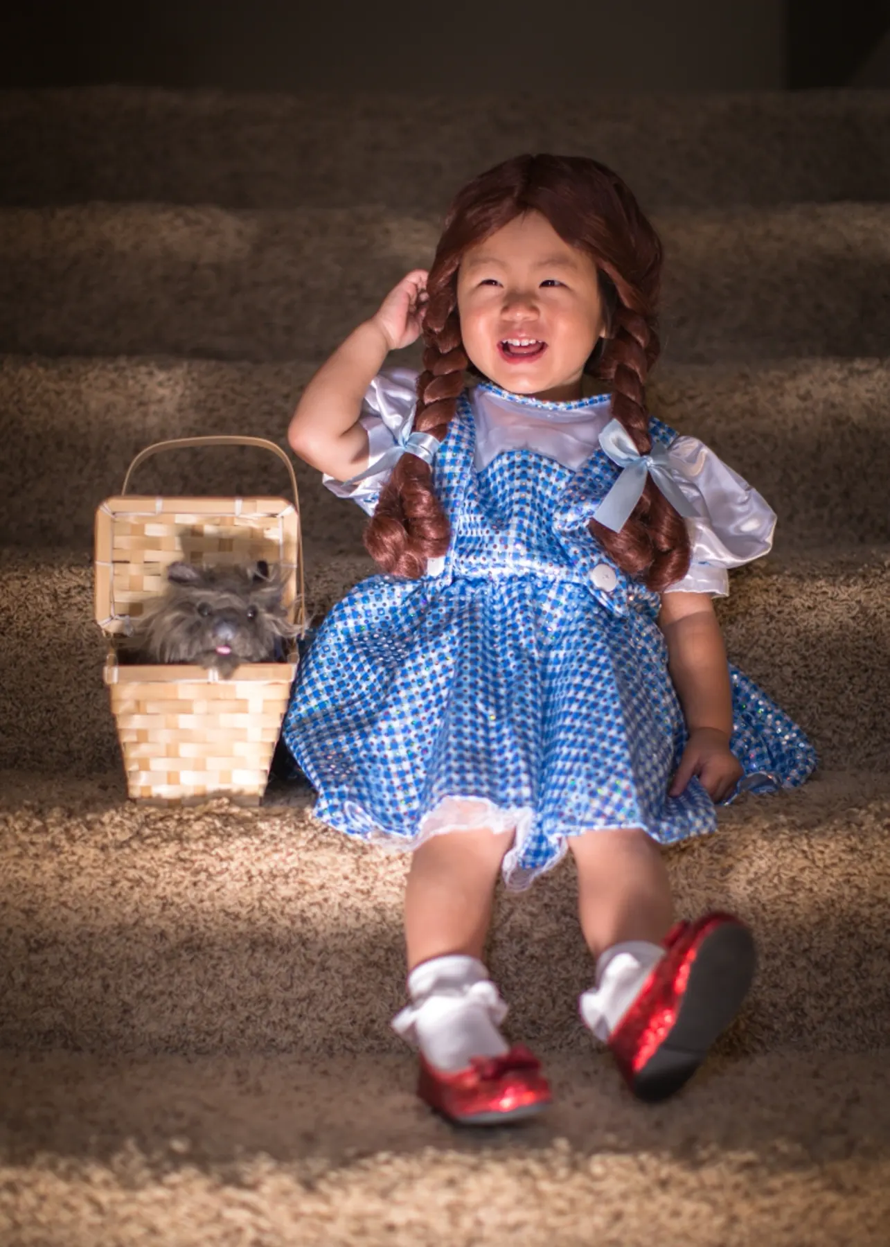 Say Hi to Dorothy ! photograph