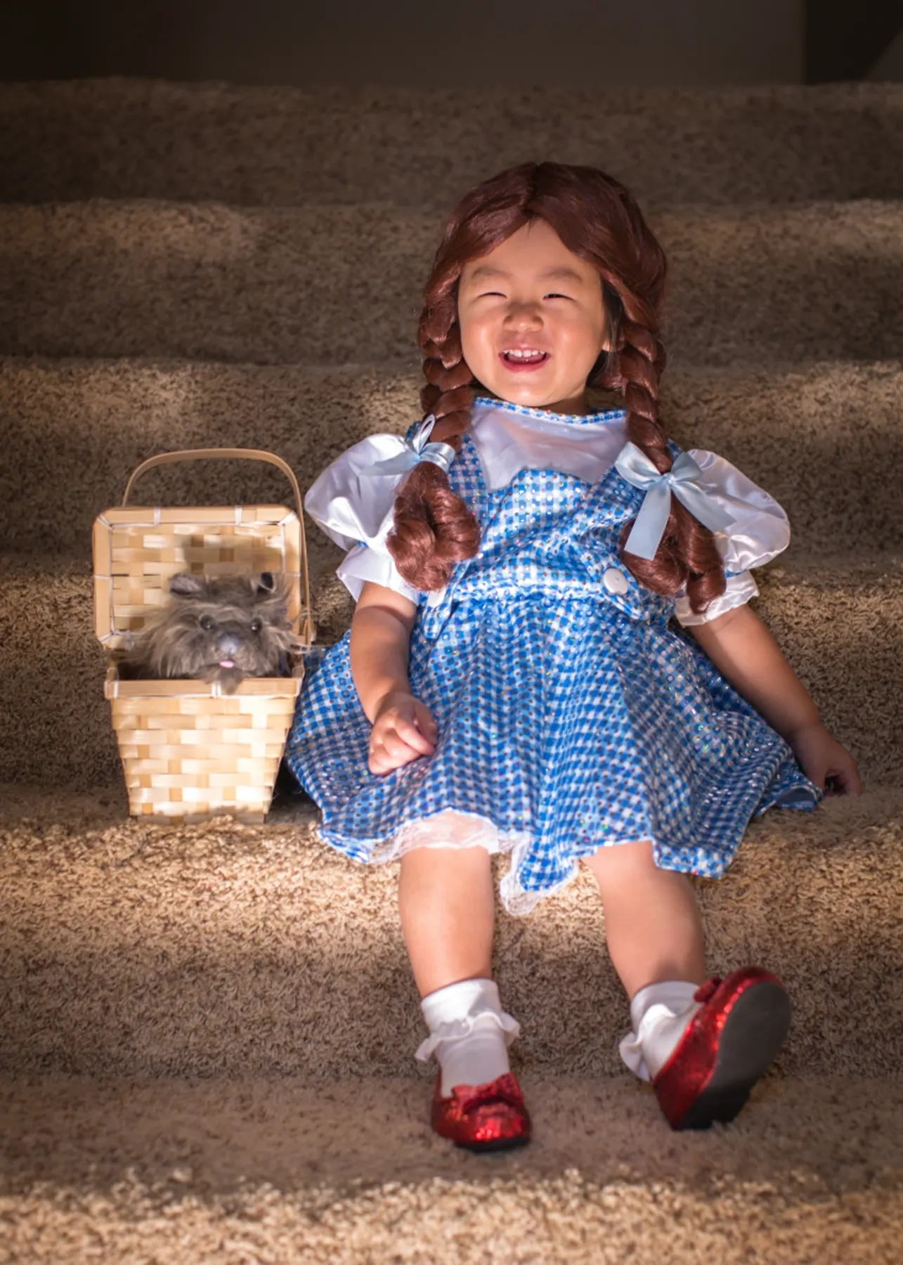Say Hi to Dorothy ! photograph