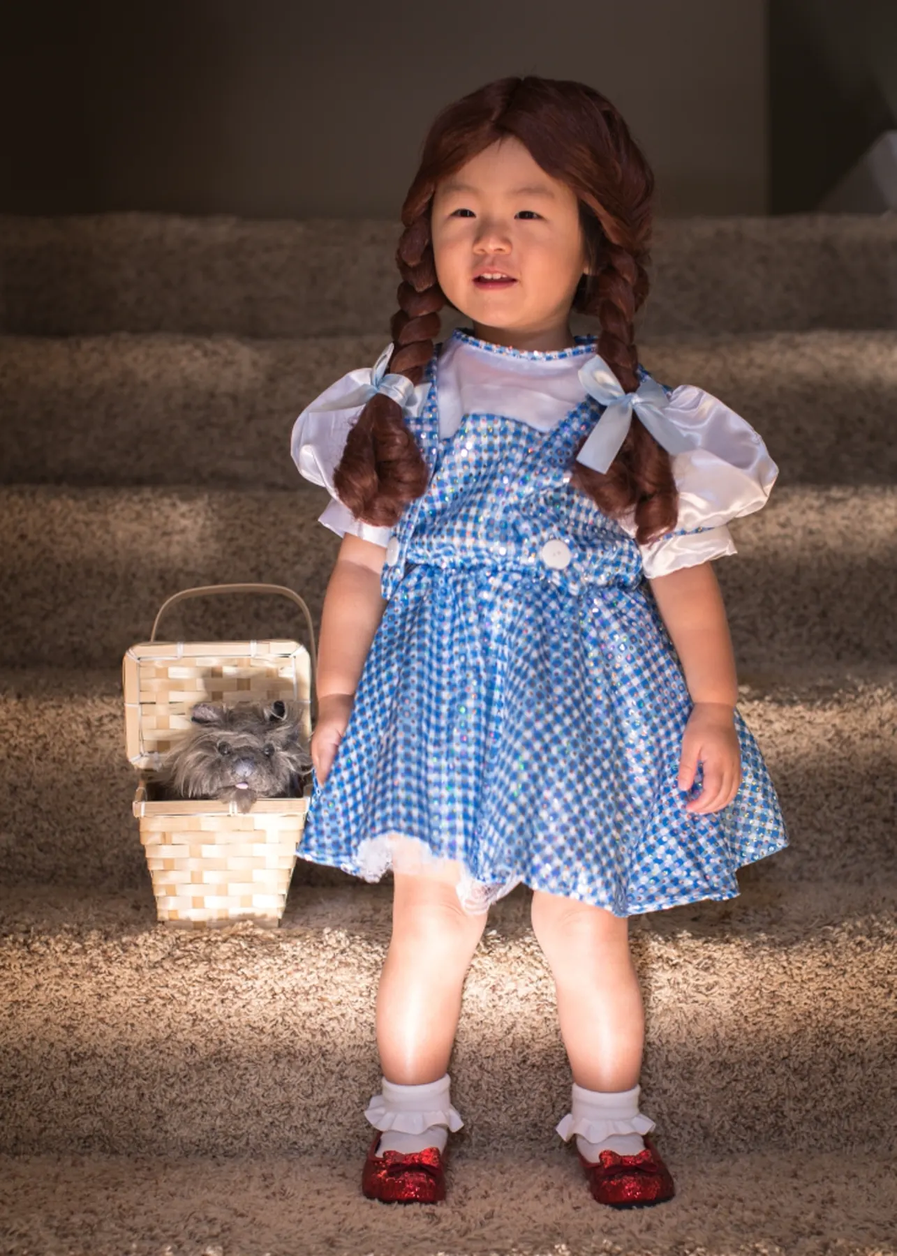 Say Hi to Dorothy ! photograph