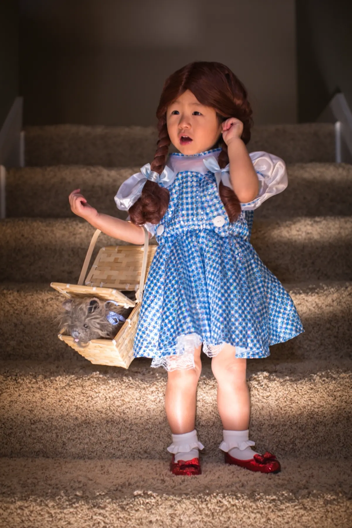 Say Hi to Dorothy ! photograph