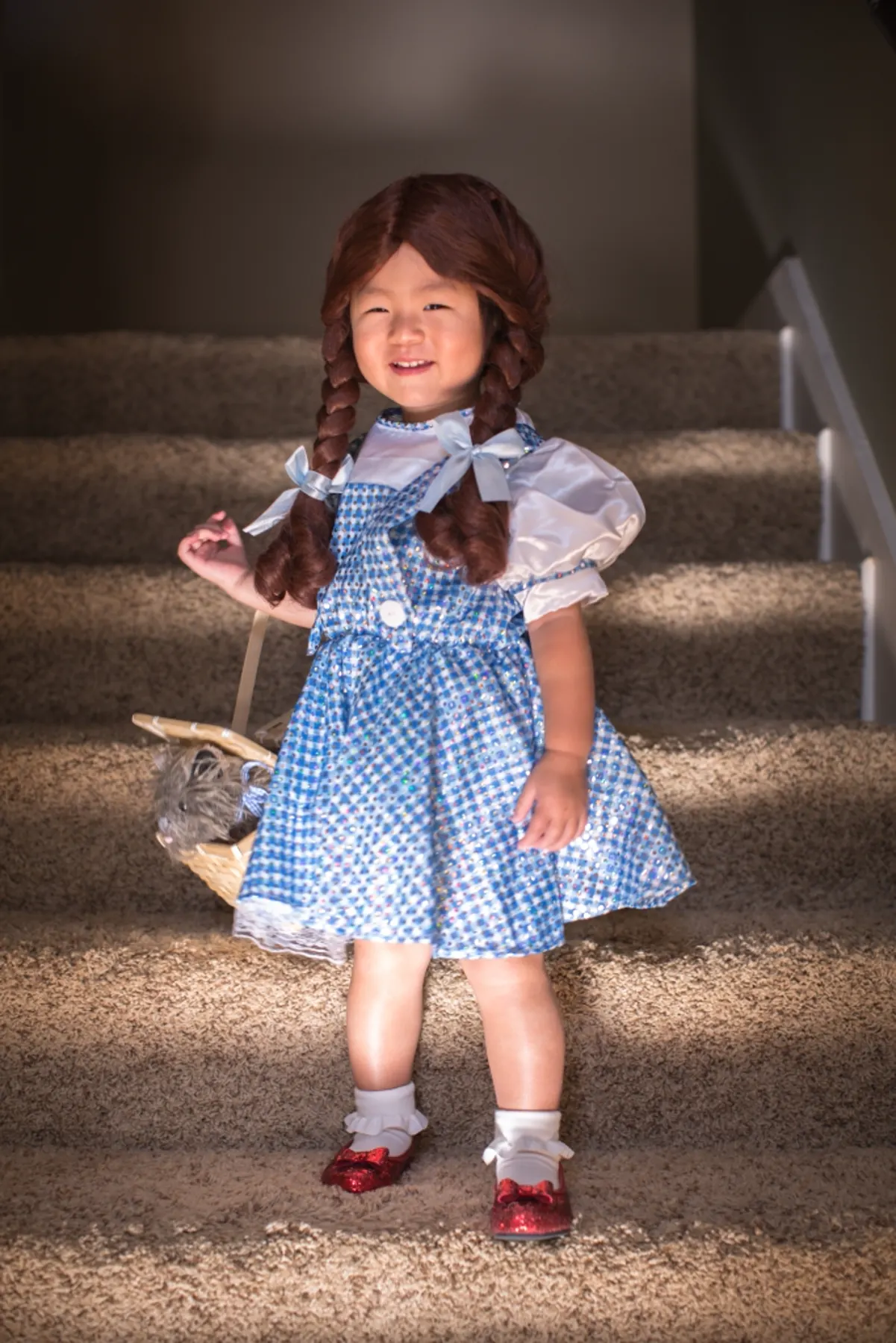 Say Hi to Dorothy ! photograph