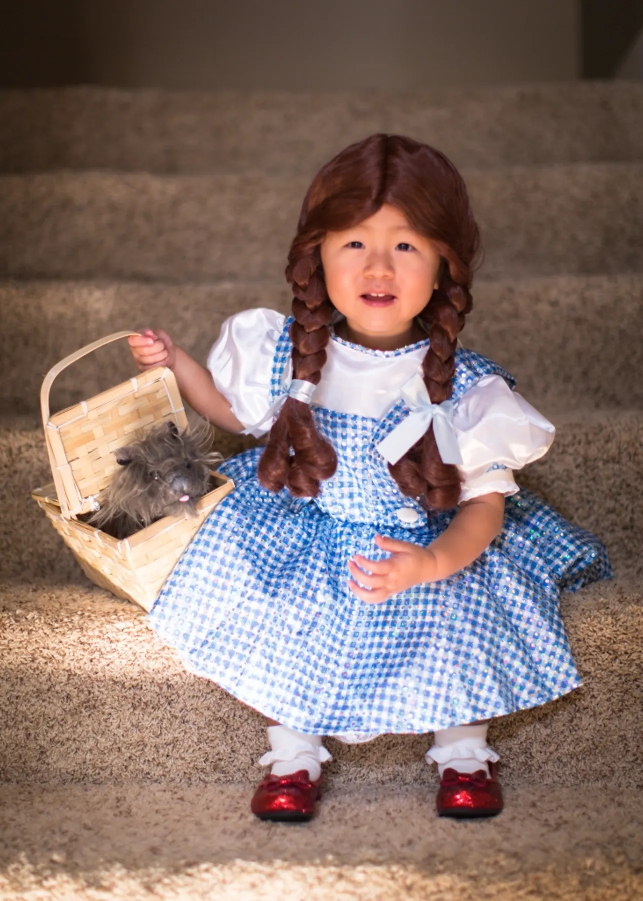 Say Hi to Dorothy ! photograph
