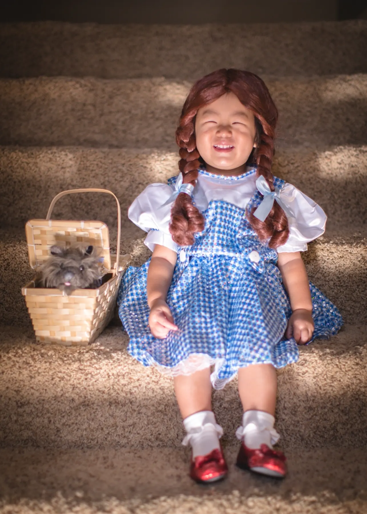 Say Hi to Dorothy ! photograph