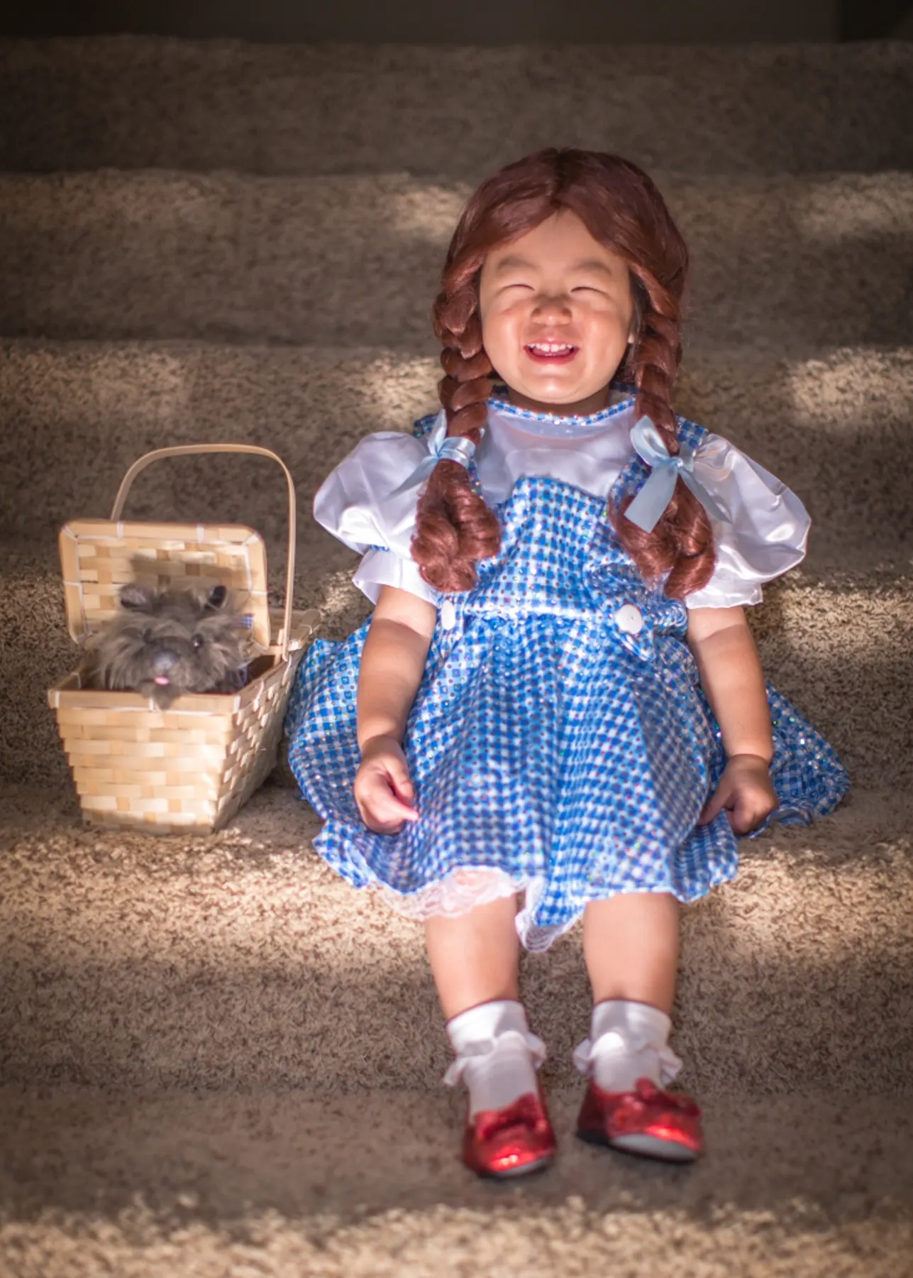 Say Hi to Dorothy ! photograph