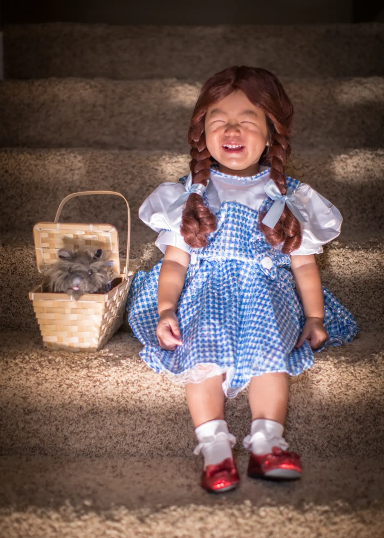 Say Hi to Dorothy ! photograph