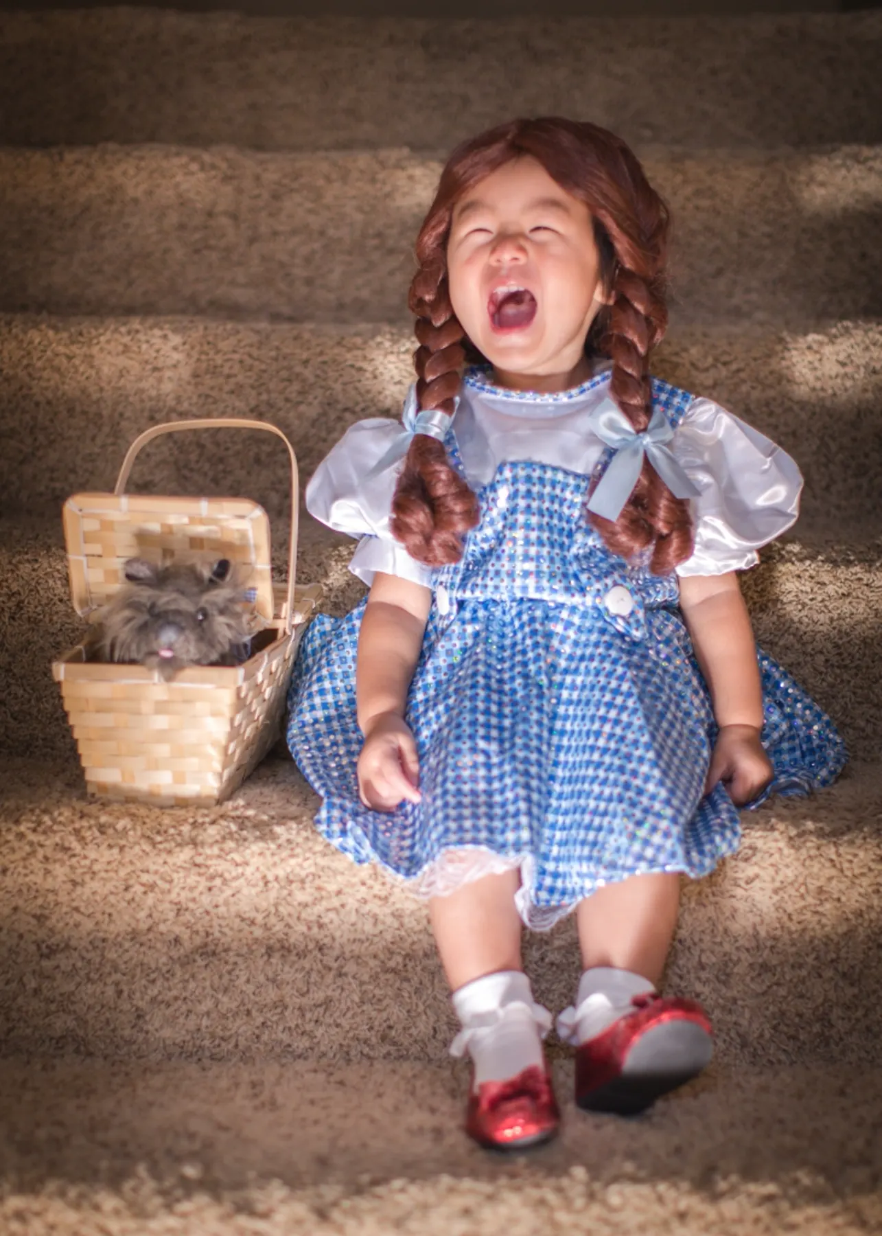 Say Hi to Dorothy ! photograph