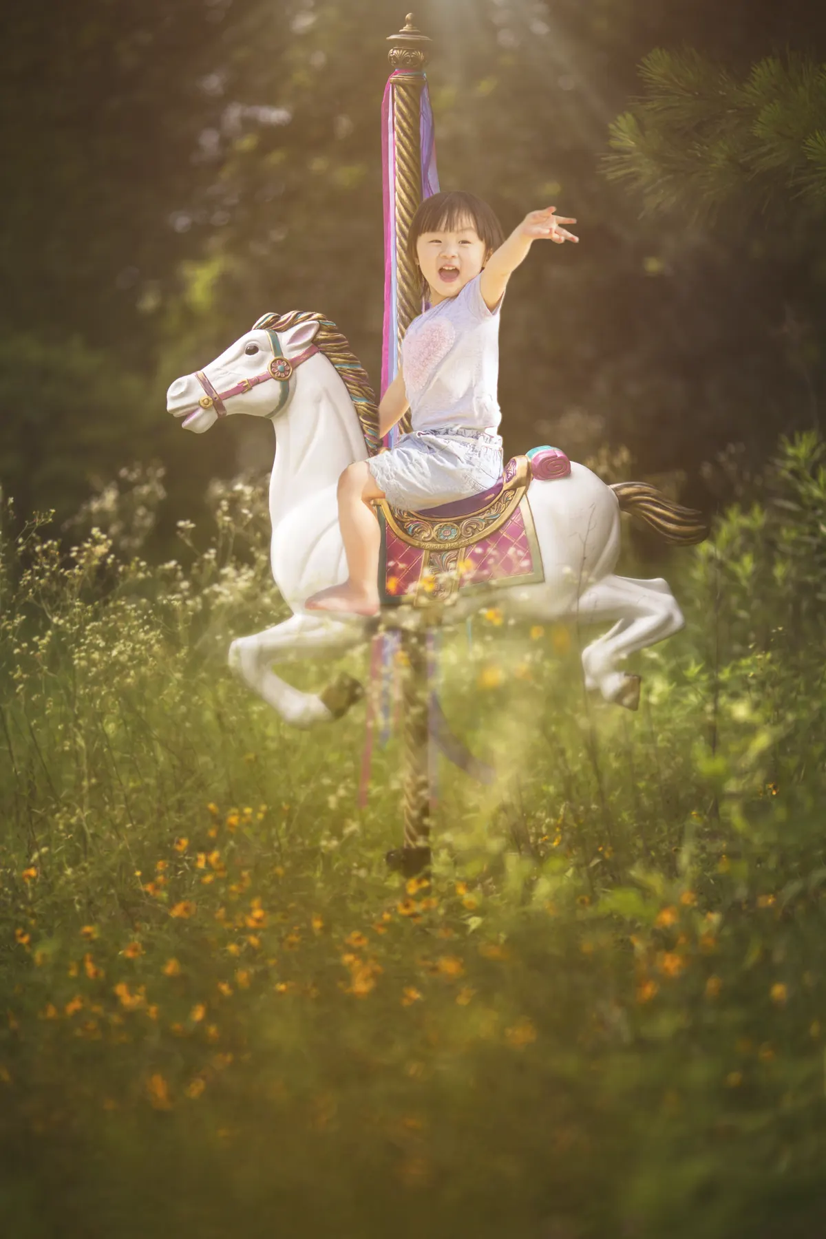 An afternoon in the park. photograph