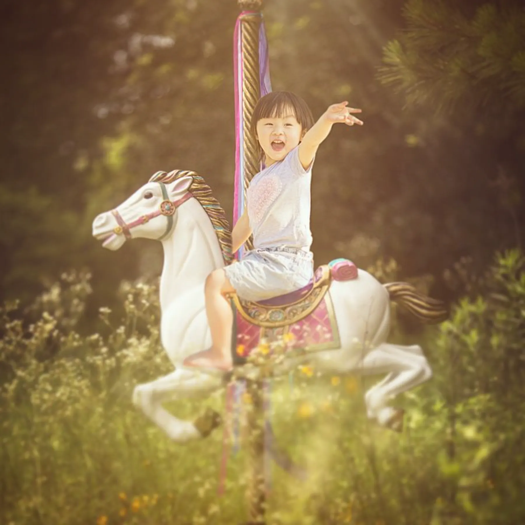 An afternoon in the park. photograph